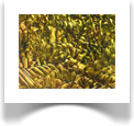 Zooms of Masterpieces in The Museum