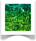 Master Artist Paintings