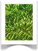 Multidimensional Paintings