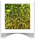 Examples of Multidimensionality